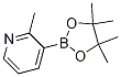 1012084-56-8