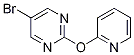 1017789-05-7