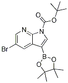 CAS No 1025719-14-5  Molecular Structure