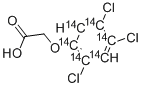 104873-01-0