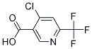1060810-66-3
