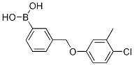 1072951-91-7