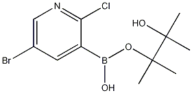 1073354-79-6