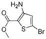 CAS No 107818-55-3  Molecular Structure