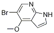 1092579-95-7
