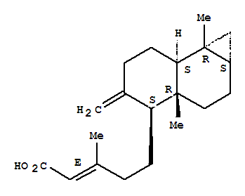 CAS No 109291-60-3  Molecular Structure