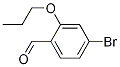 1094555-01-7