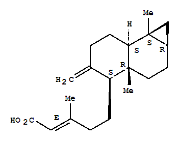 CAS No 113626-22-5  Molecular Structure