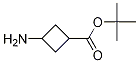 1173205-83-8