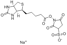 CAS No 119616-38-5  Molecular Structure