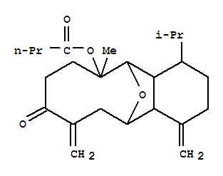 CAS No 120484-80-2  Molecular Structure