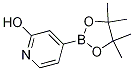 Cas Number: 1256358-90-3  Molecular Structure