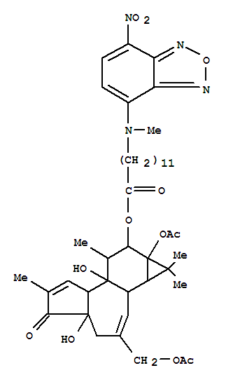 137034-69-6