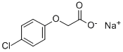 CAS No 13730-98-8  Molecular Structure