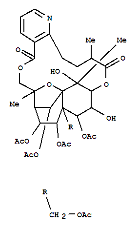 CAS No 147362-40-1  Molecular Structure