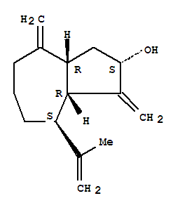 157110-33-3