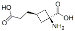 161181-75-5