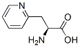 163513-22-2