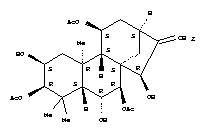 196607-56-4