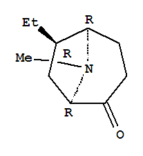 197588-51-5