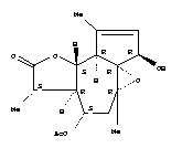 202343-11-1