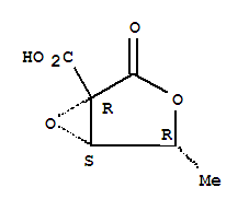 Cas Number: 204378-79-0  Molecular Structure