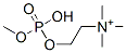 2375-06-6