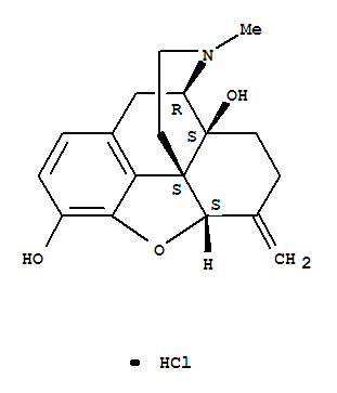 24358-95-0