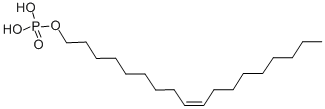CAS No 24613-61-4  Molecular Structure