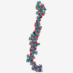 251562-00-2