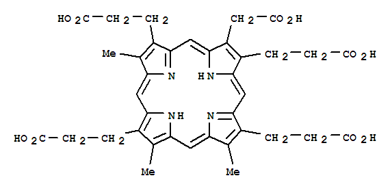 28855-19-8