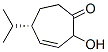 310905-97-6