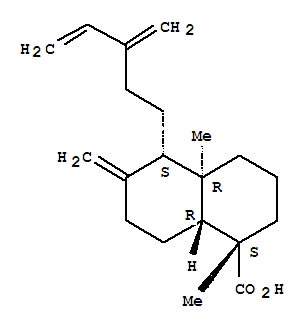 CAS No 31323-66-7  Molecular Structure