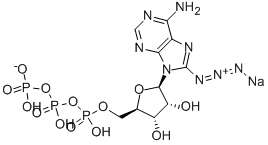 CAS No 53696-59-6  Molecular Structure