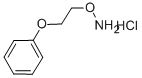 CAS No 5397-72-8  Molecular Structure