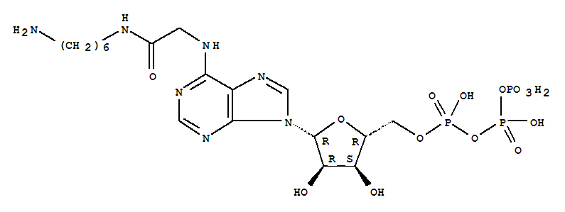 CAS No 55860-26-9  Molecular Structure
