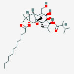 CAS No 76663-53-1  Molecular Structure