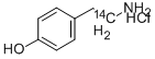 CAS No 80787-62-8  Molecular Structure
