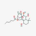 CAS No 81078-04-8  Molecular Structure