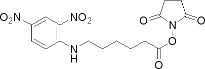 CAS No 82321-04-8  Molecular Structure