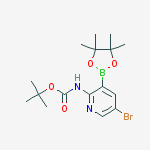 CAS No 1263142-42-2  Molecular Structure