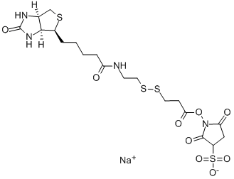 CAS No 202057-28-1  Molecular Structure