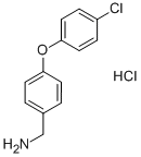CAS No 262862-71-5  Molecular Structure
