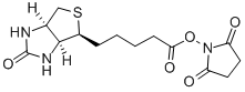CAS No 35013-72-0  Molecular Structure