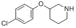 CAS No 384346-27-4  Molecular Structure